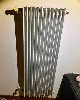 Termosifoni semi nuovi