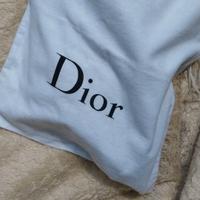 Saddle bag Dior