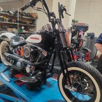 Forcella springer