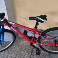  Bici  Esperia 24'