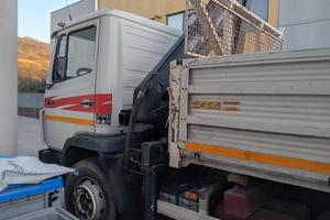 Camion ribaltabile con gru
