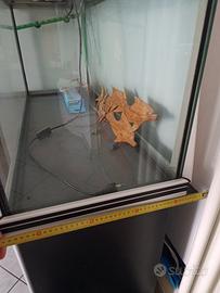 Acquario completo di mobiletto e pompa