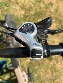 Bici elettrica