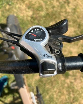 Bici elettrica
