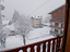 Immagine 11
