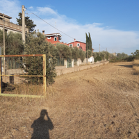 Terreno zona Finocchio