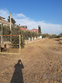 Terreno zona Finocchio