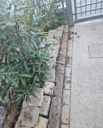 Lotto Blocchetti Pietra bianca per Bordatura 