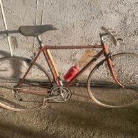 Olmo gentleman eroica