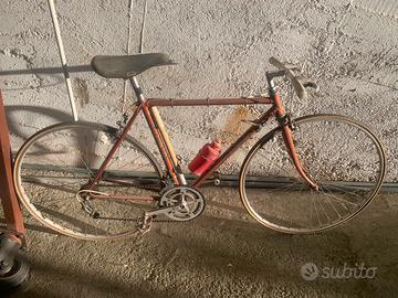 Olmo gentleman eroica