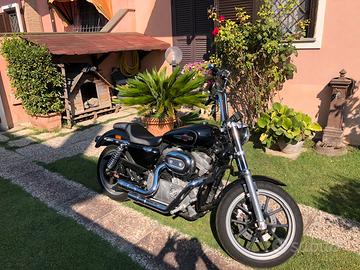 Harley davidson 883