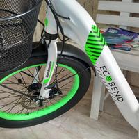 bici elettrica