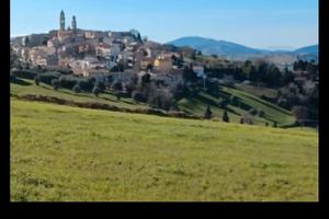 terreno agricolo
