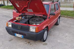 Fiat panda Van autocarro