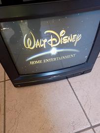 Televisore CRT Panasonic da 17 pollici,
modello TC