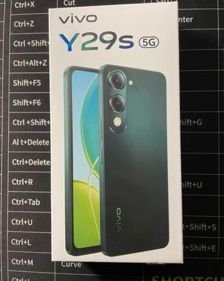 Vivo y29s