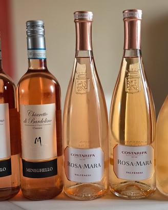 6 bt - Box Vini Rosati d'Italia