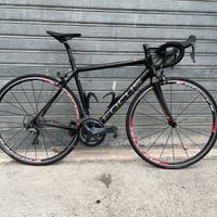 Focus izalco
