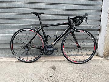 Focus izalco