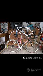 Due bici da corsa.