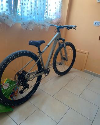 wheelie bike