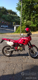 Per amatori e collezionisti del genere enduro