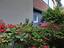 Immagine 29