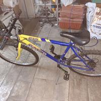 Bicicletta mountain bike Gialla/Blu