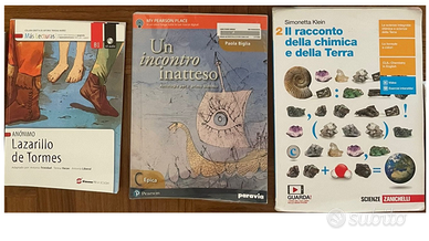 libri: Lazarillo de Tormes, Un incontro inatteso C