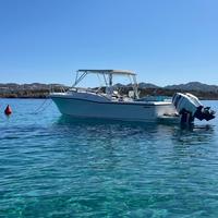 Mako 295
