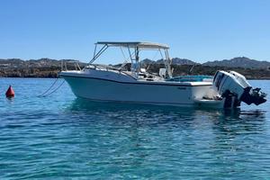 Mako 295