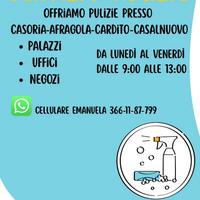 Pulizie