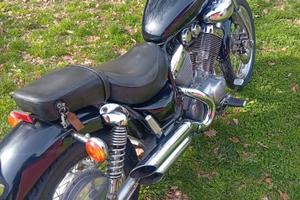 Yamaha virago 535 come nuova