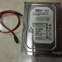 Hard Disk Western Digital Caviar Blue 320 GB