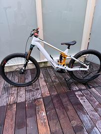 Orbea wild M-Team 2025 full custom