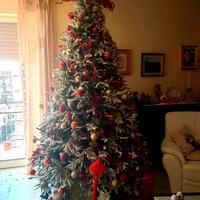 Albero di natale dicembre 2023 effetto innevato