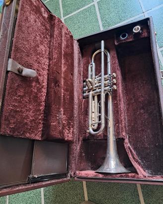 tromba Capri della Getzen