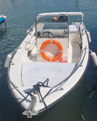 Fiart Brezza - Mercury 40cv