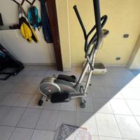 Elittico