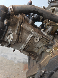 Motore completo malossi 218