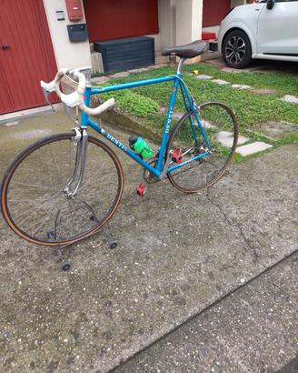Denti corsa vintage  collection 