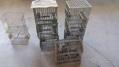 Gabbie per uccelli da richiamo