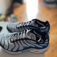 Nike Air Max Plus TN