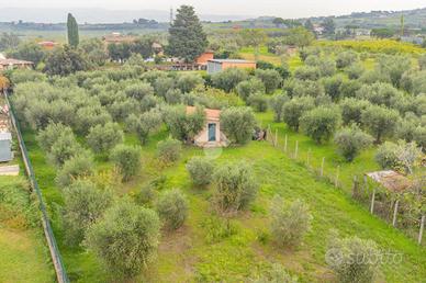 TER. AGRICOLO A FRASCATI