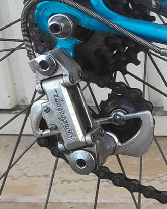 Bicicletta da corsa vintage olmo