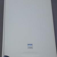 scanner epson