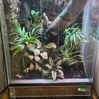 Bioterrario
