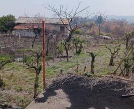 Terreno agricolo con rustico molto panoramico