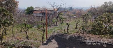 Terreno agricolo con rustico molto panoramico