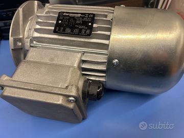 Motore Elettrico Trifase Carpanelli 1.5kW confreno